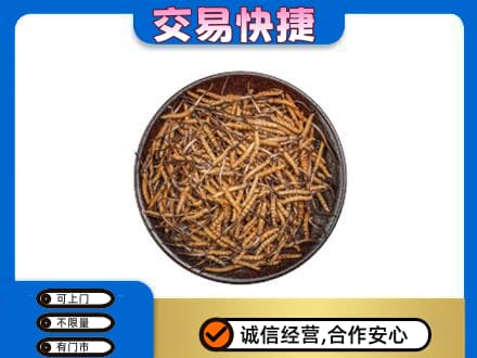 舟山市定海高价回收散虫草