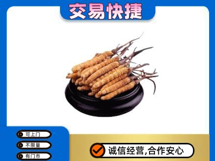 舟山市定海礼品回收散虫草.jpg
